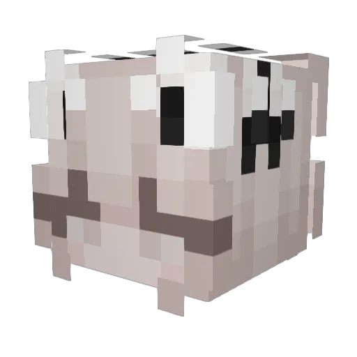 Ingressus_ Minecraft avatar head, 3D render