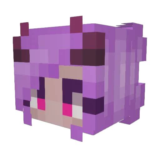 Ingritas2007 Minecraft avatar head, 3D render