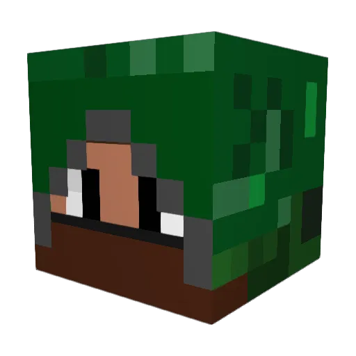Inidhren Minecraft avatar head, 3D render