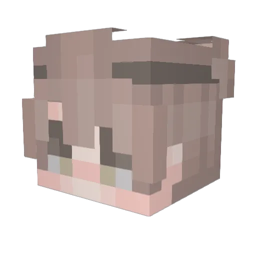 Injeolmi0 Minecraft avatar head, 3D render