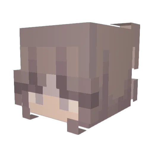 InjuredImp Minecraft avatar head, 3D render