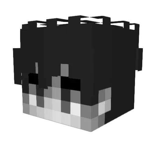 Injurys Minecraft avatar head, 3D render