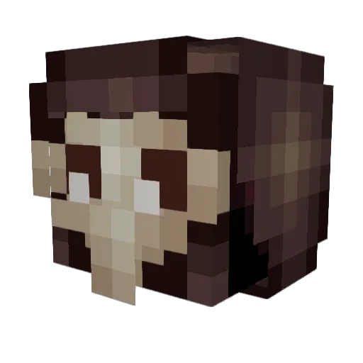 InjusticeGaming Minecraft avatar head, 3D render