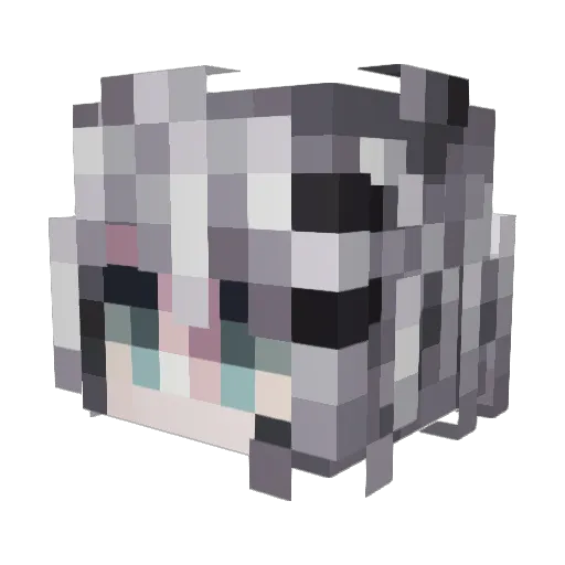 InkFish924 Minecraft avatar head, 3D render