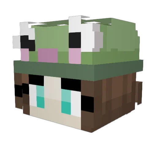 InkWeaver23 Minecraft avatar head, 3D render
