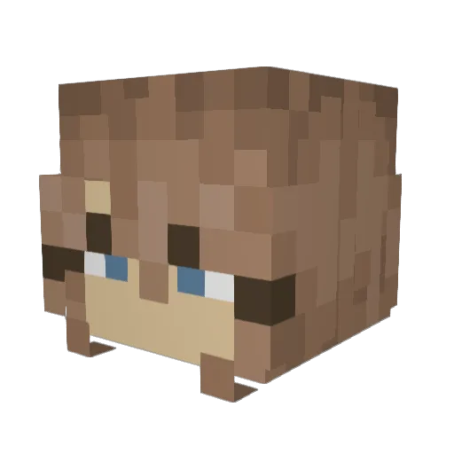 Inka600 Minecraft avatar head, 3D render