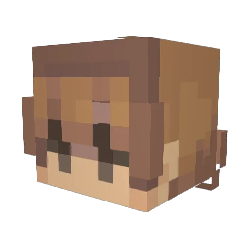Inkbug_ Minecraft avatar head, 3D render