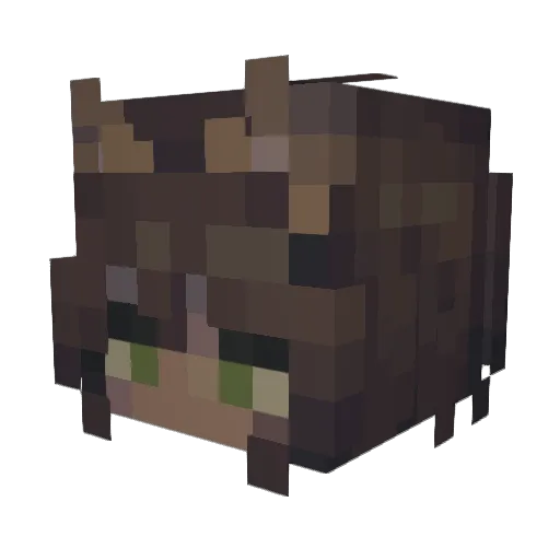 Inkgalaxyeclipse Minecraft avatar head, 3D render