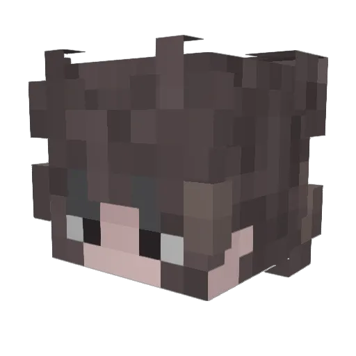 Inkling9578 Minecraft avatar head, 3D render