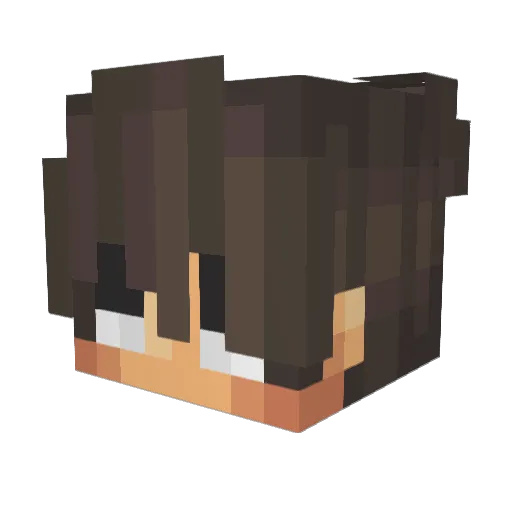 Inksock Minecraft avatar head, 3D render