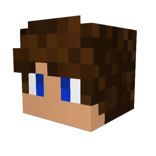 InkwellGuy Minecraft avatar head, 3D render