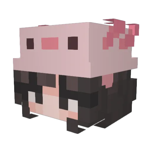 Inmeta89 Minecraft avatar head, 3D render