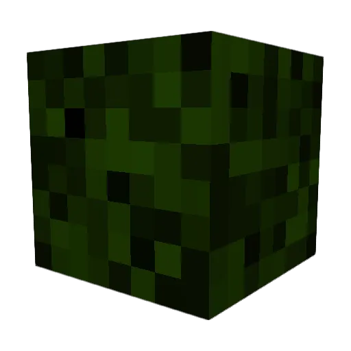 InnaBush Minecraft avatar head, 3D render