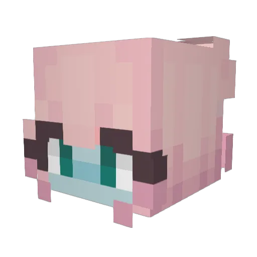 InnateAlloy6 Minecraft avatar head, 3D render