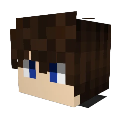 Innel20 Minecraft avatar head, 3D render