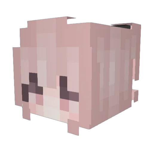 Innverted_ Minecraft avatar head, 3D render