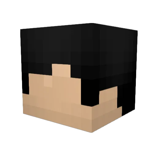 Inoxyde Minecraft avatar head, 3D render