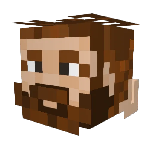 Inpg895 Minecraft avatar head, 3D render