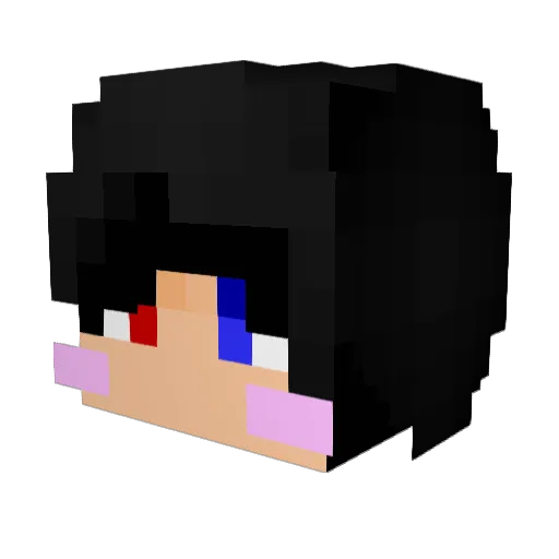 Insaeng_su Minecraft avatar head, 3D render