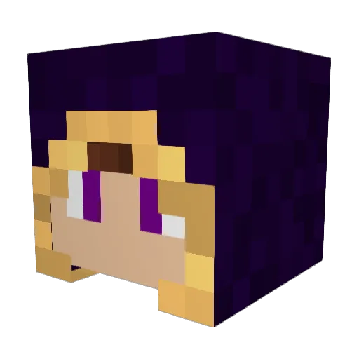 Insamity01 Minecraft avatar head, 3D render