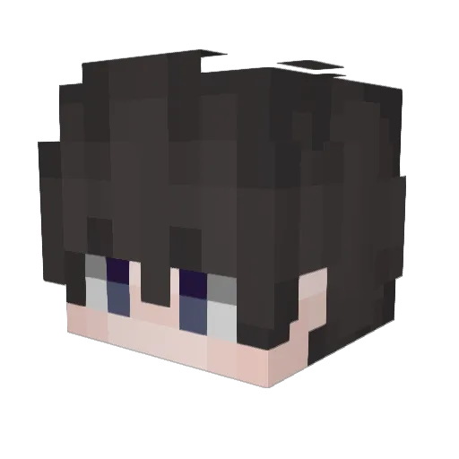 Insane515 Minecraft avatar head, 3D render