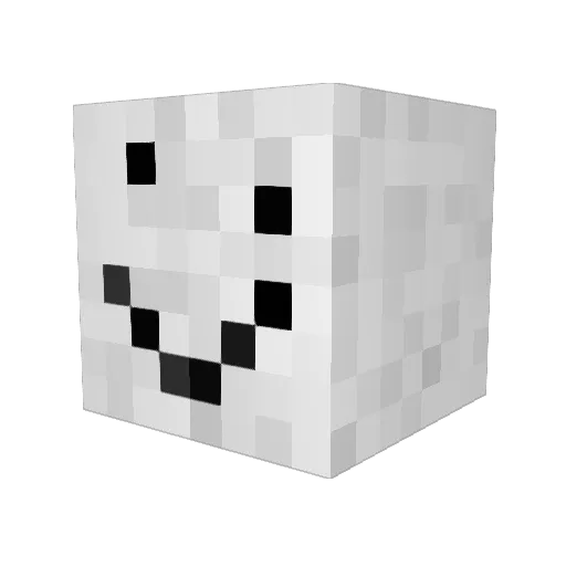 InsaneBacon54 Minecraft avatar head, 3D render