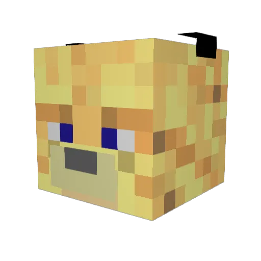 InsaneCat Minecraft avatar head, 3D render