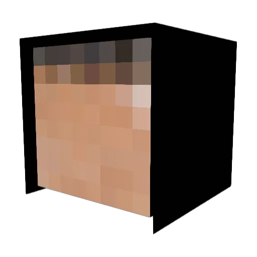 InsaneFromEarth Minecraft avatar head, 3D render