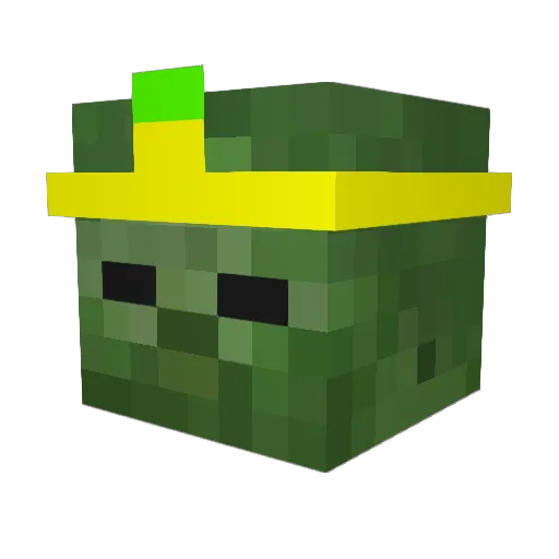 InsaneKing00 Minecraft avatar head, 3D render