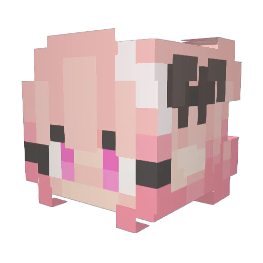 InsaneShoe85899 Minecraft avatar head, 3D render