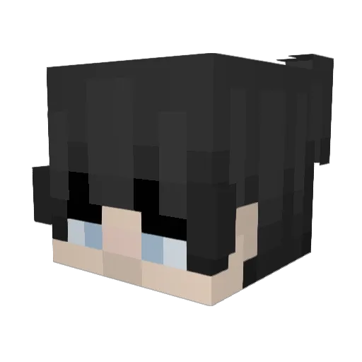 InsaneSweat_ Minecraft avatar head, 3D render