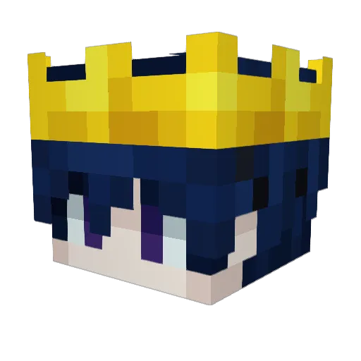 InsaneWall1460 Minecraft avatar head, 3D render