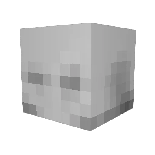Insane_Alaskann Minecraft avatar head, 3D render