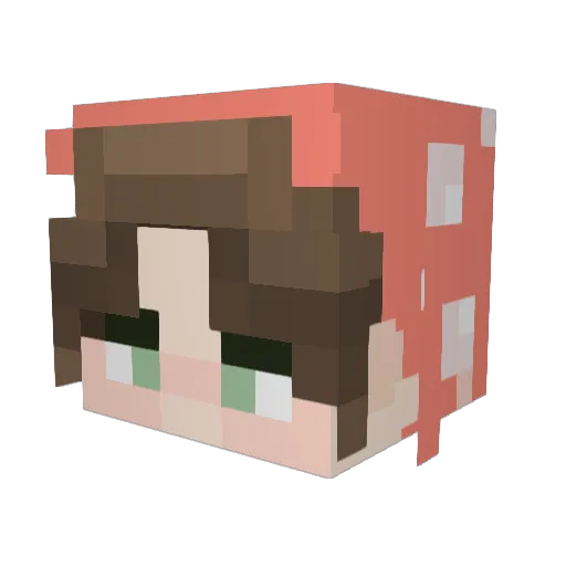 Insane_Cat Minecraft avatar head, 3D render
