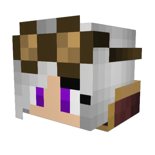 Insane_Llamas Minecraft avatar head, 3D render