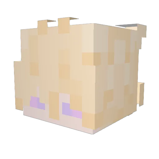 Insanezs Minecraft avatar head, 3D render