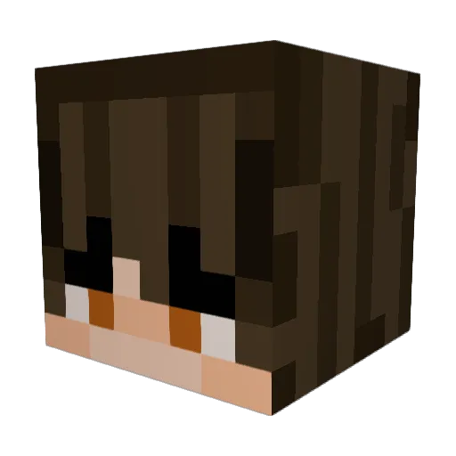 InsaniBoy Minecraft avatar head, 3D render