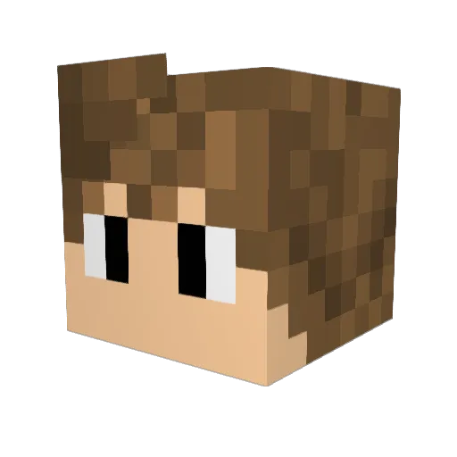 Insanity_XY Minecraft avatar head, 3D render
