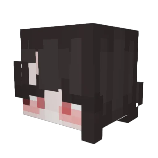 Insanitz Minecraft avatar head, 3D render