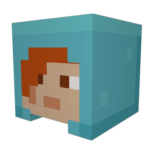 Insectcamp23282 Minecraft avatar head, 3D render