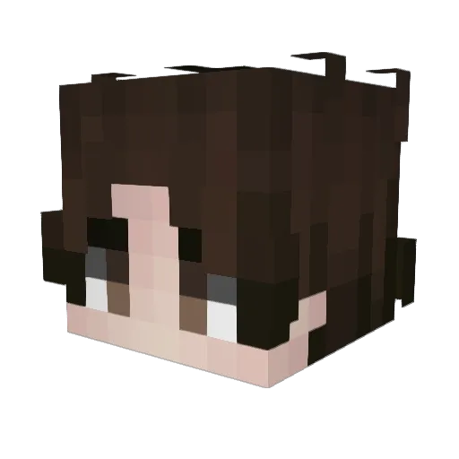 Insensata_ Minecraft avatar head, 3D render