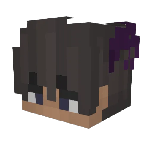 Insently Minecraft avatar head, 3D render