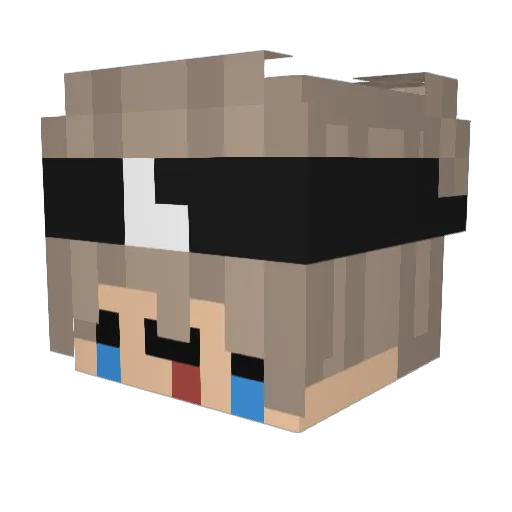 Inseongs Minecraft avatar head, 3D render