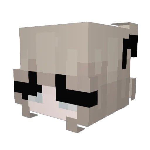 Insequearaux Minecraft avatar head, 3D render