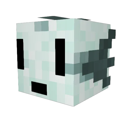 InsertForgHere Minecraft avatar head, 3D render