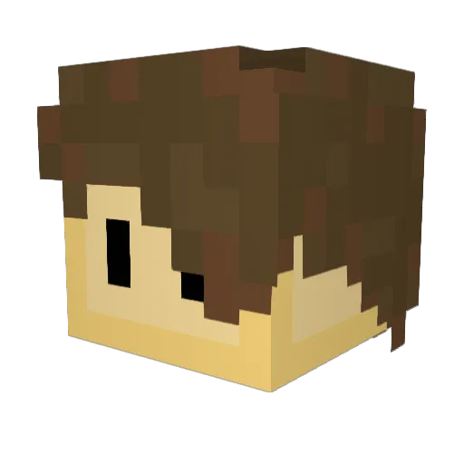 InsertName21 Minecraft avatar head, 3D render