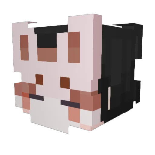 Insert_Name2 Minecraft avatar head, 3D render