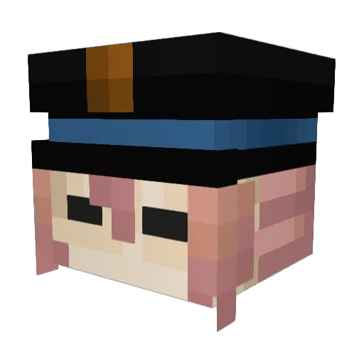 Insertein Minecraft avatar head, 3D render
