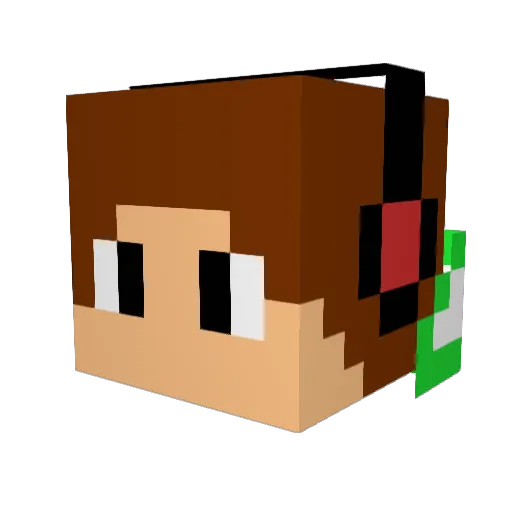 Insinyin Minecraft avatar head, 3D render