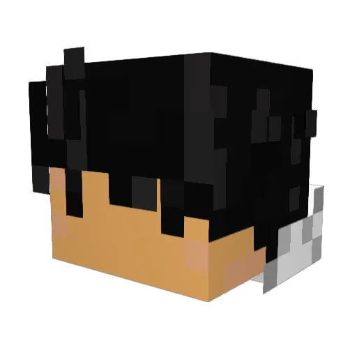 Insirja Minecraft avatar head, 3D render